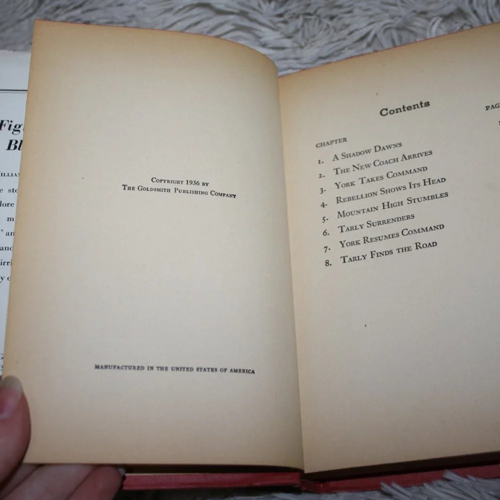 1936 Fighting Blood vintage book hardcover (B.e.)